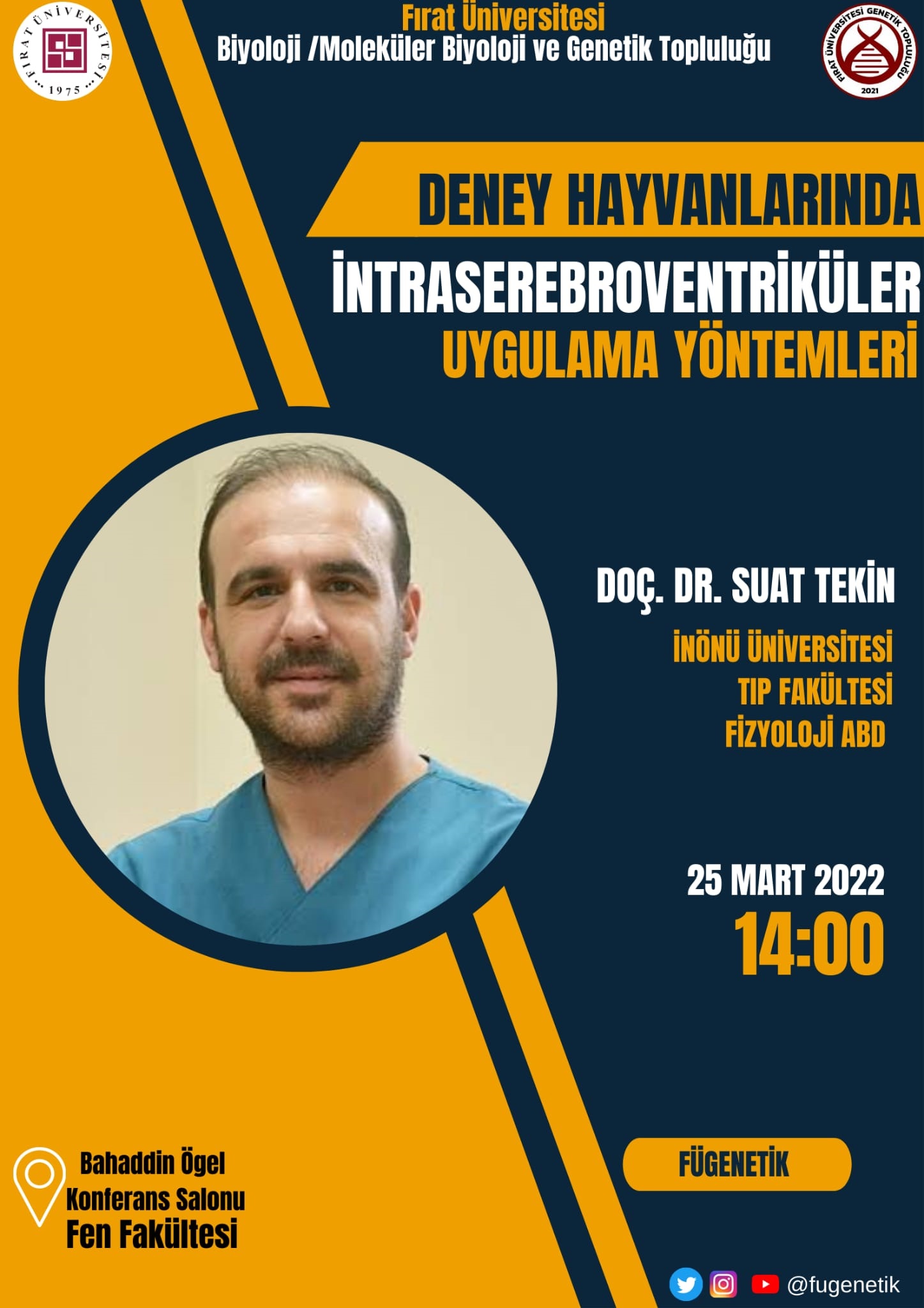 deney-hayvanlarinda-intraserebroventrikuler-uygulama-yontemleri-4793