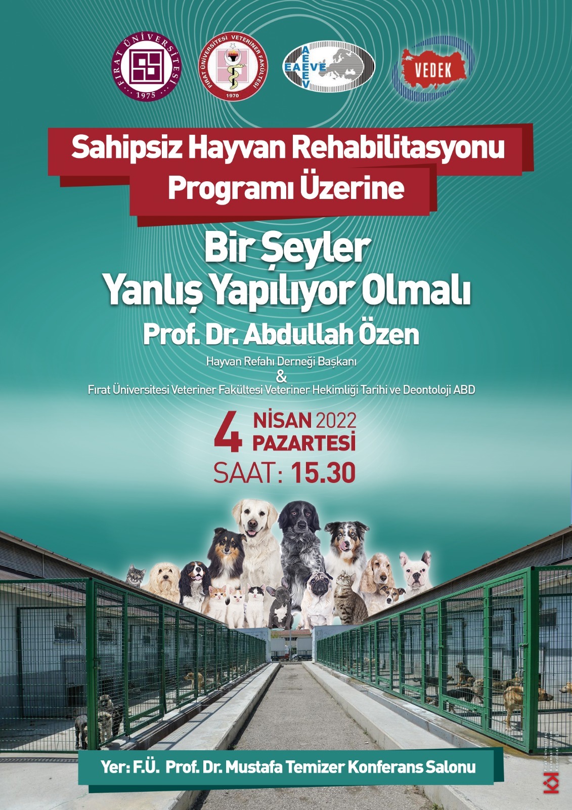 sahipsiz-hayvan-rehabilitasyonu-4825