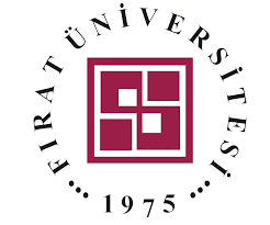 firat-universitesi-2012-2013-akademik-yili-mezuniyet-toreni-fotograflari-10