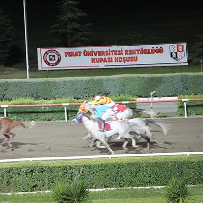 firat-universitesi-kupasi-kosusu-yapildi-3150